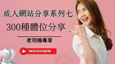 三大成人免费视频推荐